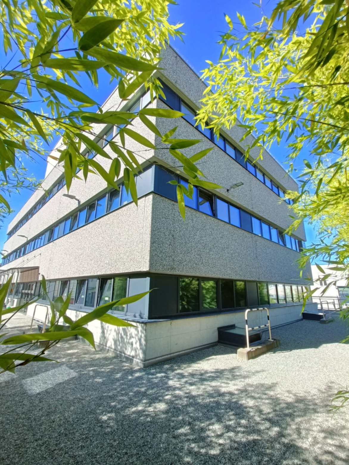 Siège MRes S.A. — Mendrisio